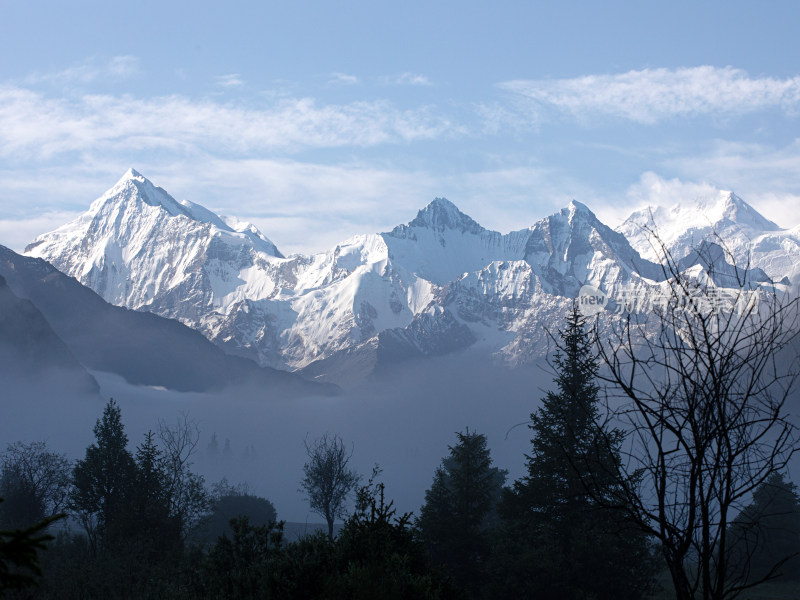 新疆伊犁，早晨晨雾中的森林雪山自然风景