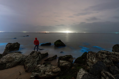 广东阳江海陵岛夜光海边岩石上的蓝色荧光海