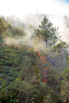 消防队伍在山林火灾现场灭火