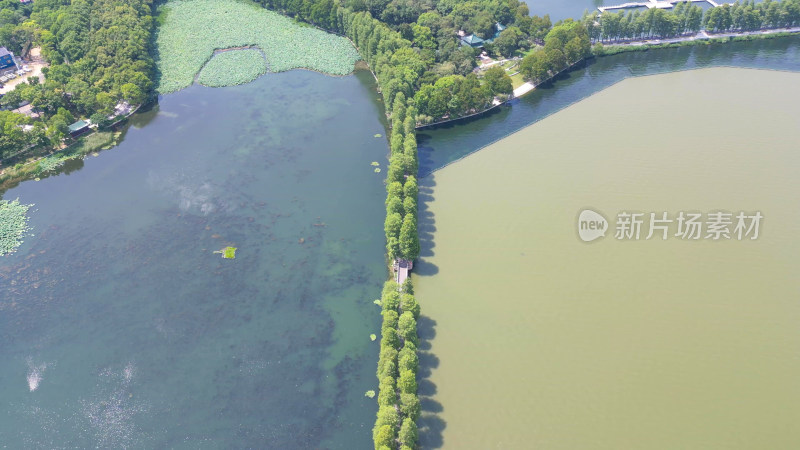 航拍湖北武汉东湖景区东湖公园