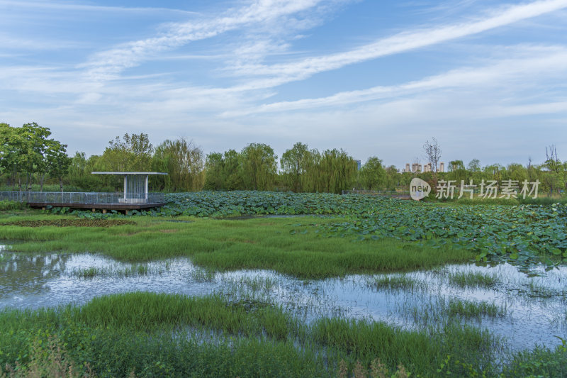 武汉江夏中央大公园风景