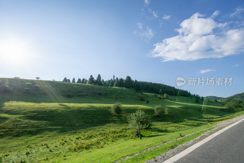 重庆市武隆区仙女山国家森林公园