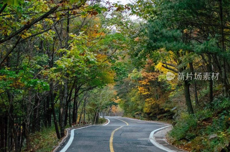 河南省洛阳白云山九龙潭秋天山间公路