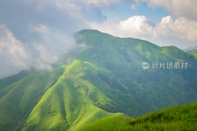 夏天江西武功山的高山草甸