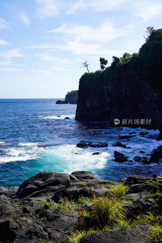 日本静冈县伊东市城崎海岸门胁吊桥一户建