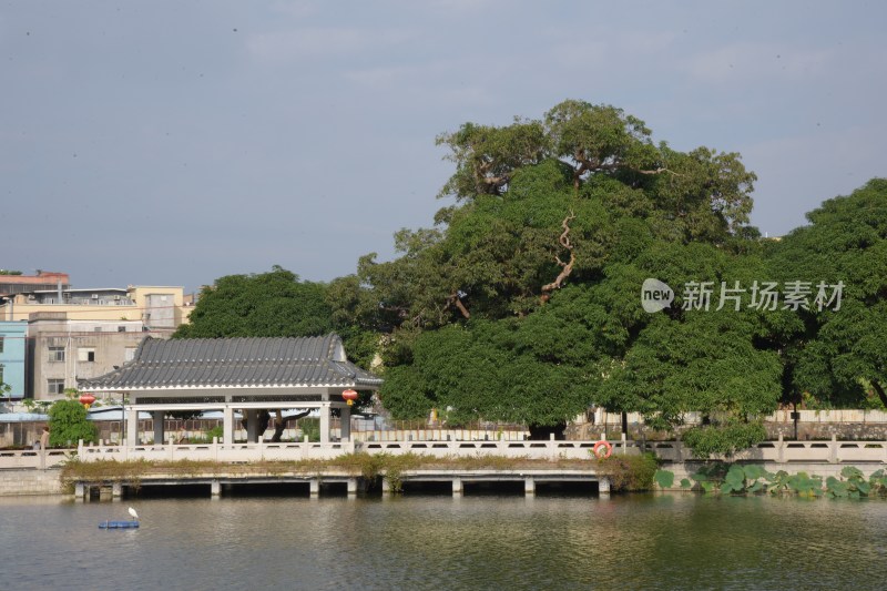 广东东莞：横丽湖沿湖风光