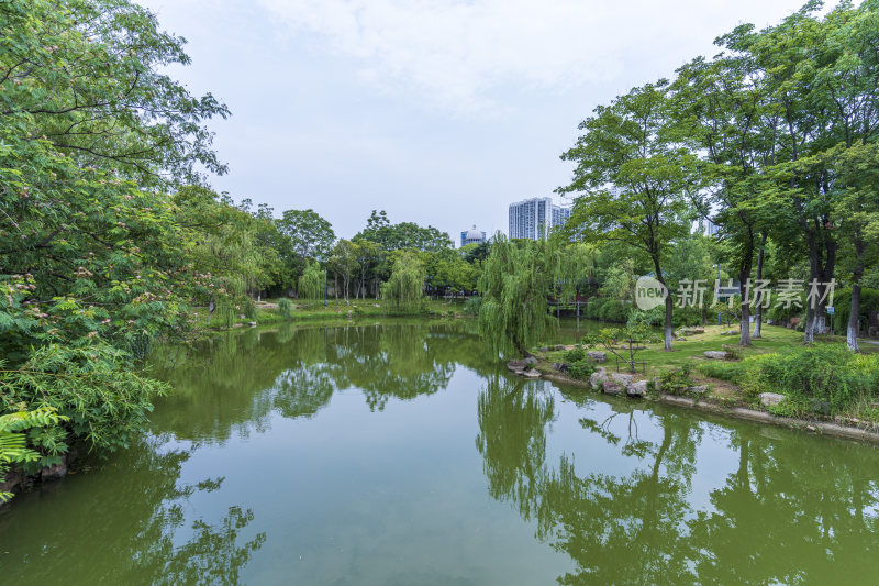 武汉汉阳月湖风景区风光