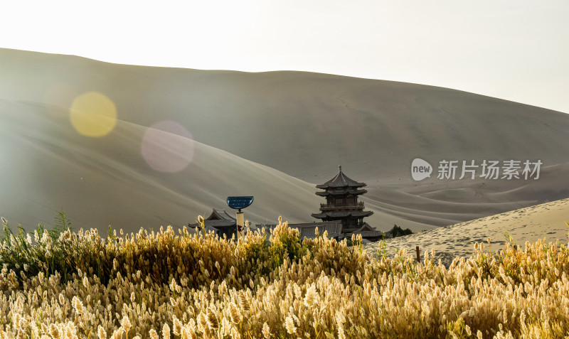 敦煌鸣沙山景区