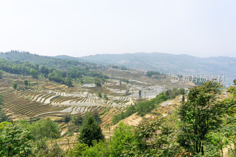 层层叠叠的元阳梯田景观