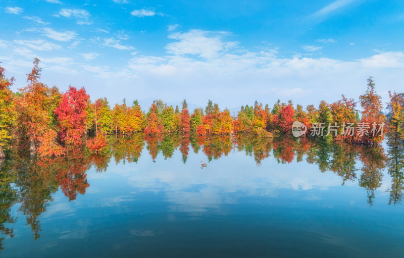 滇池湿地秋景