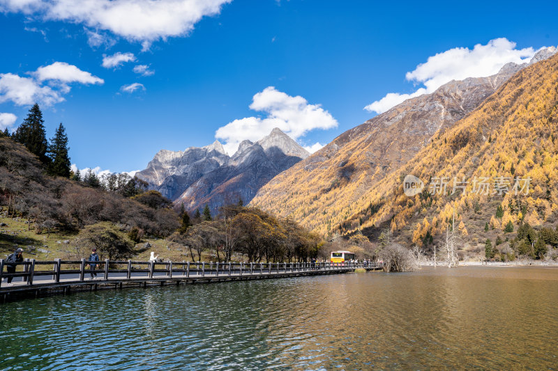 游客在四川阿坝四姑娘山双桥沟景区欣赏秋景