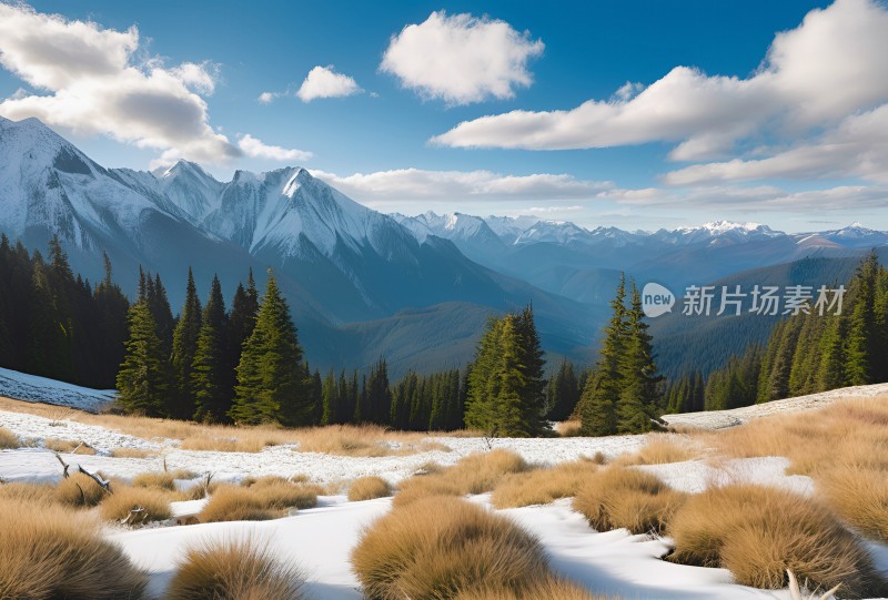 雪山高原草原森林风景