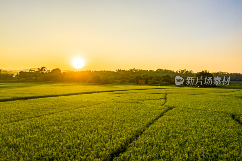 夕阳下的田野风光航拍