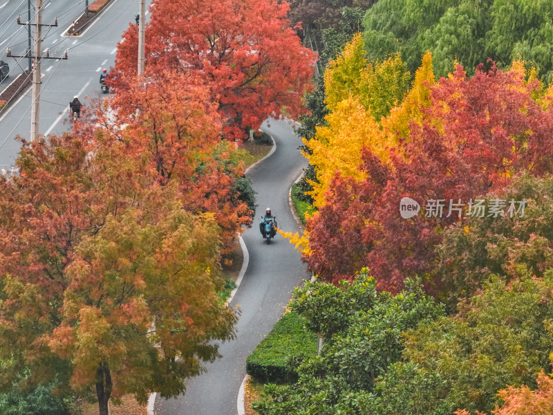 航拍昆山道路上的秋冬景色