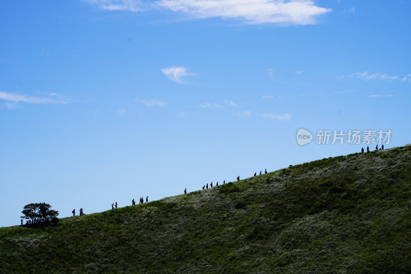 日本静冈县伊东市大室山仙人掌动物园