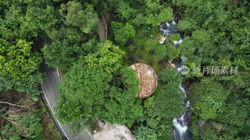 广东东莞：银瓶山树林溪涧流水潺潺