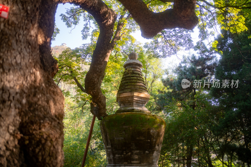 潭柘寺塔林