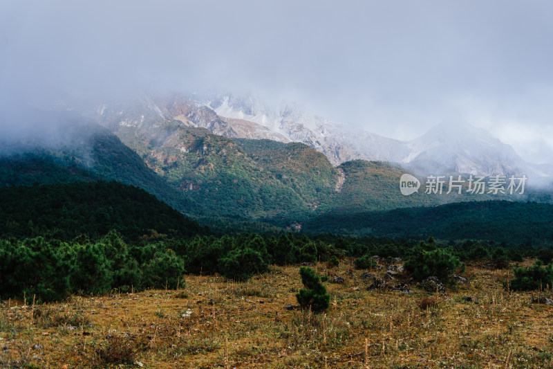 丽江玉龙雪山蚂蝗坝