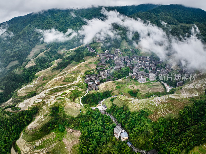 云海下的梯田