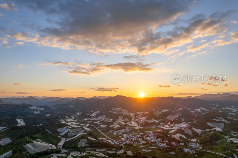 江西赣州赣南寻乌县脐橙种植基地航拍