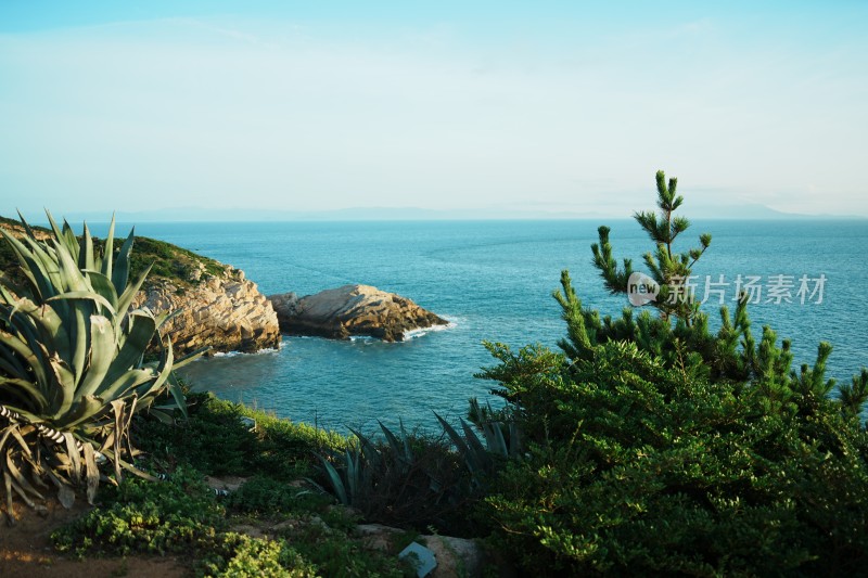 海岸线的礁石和绿色植被