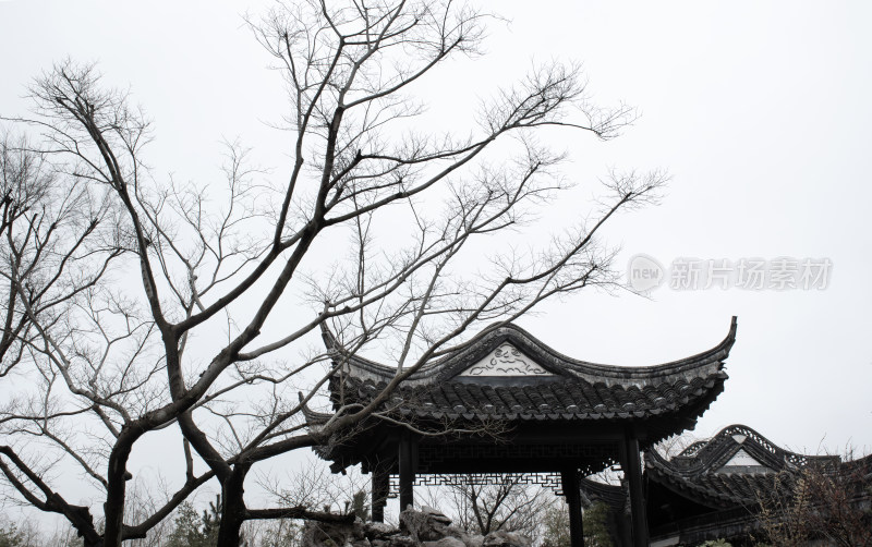 浙江南浔古镇诗意水墨古风建筑风景