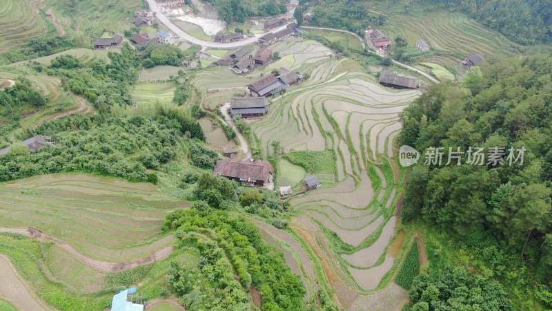 航拍农业种植梯田风光