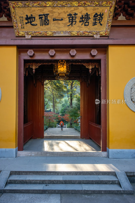 浙江杭州永福禅寺古寺秋景枫树红叶禅意