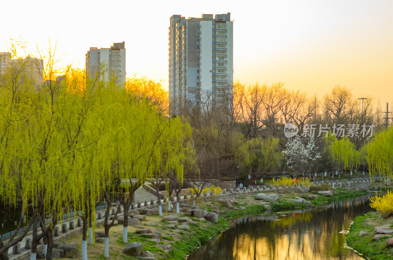 黄昏时分，公园河岸杨柳依依