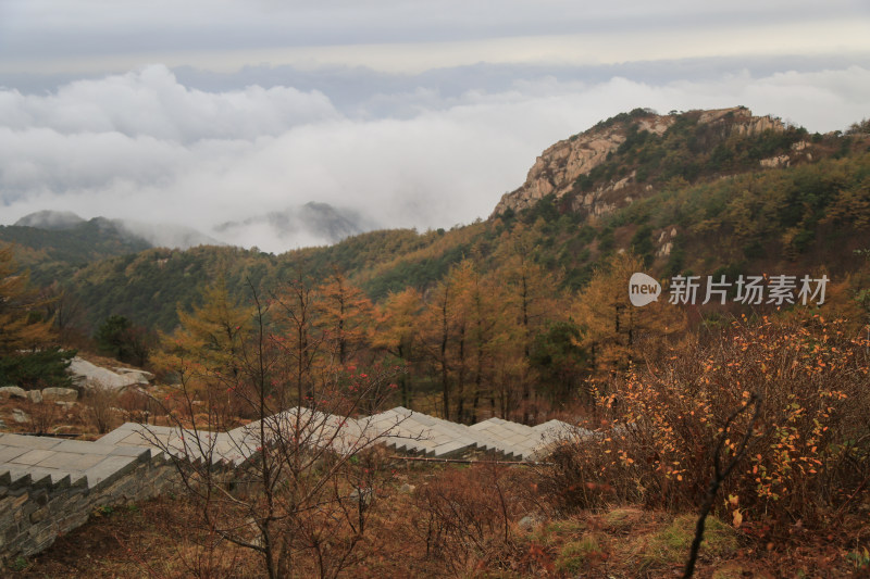 云海 山峰 山峦 清晨 泰山 唯美 秋色 秋天