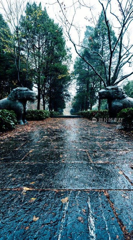 秋日石象景观小道雨中明孝陵