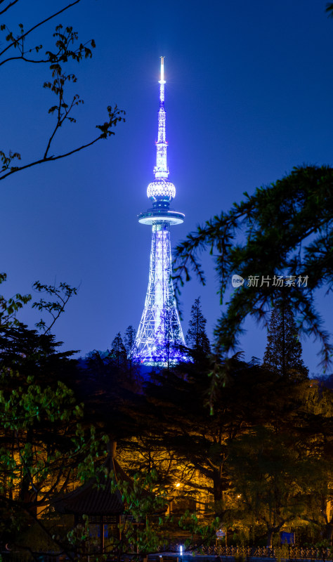 青岛中山公园的青岛电视塔夜景