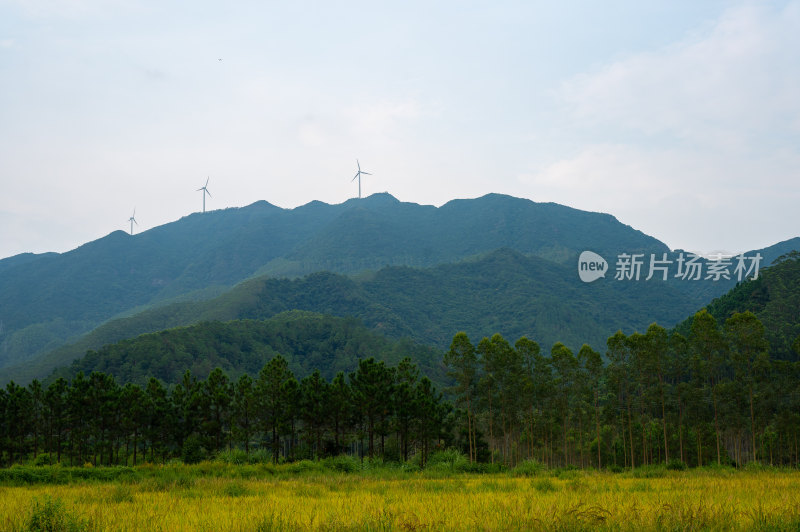 高山田野景观