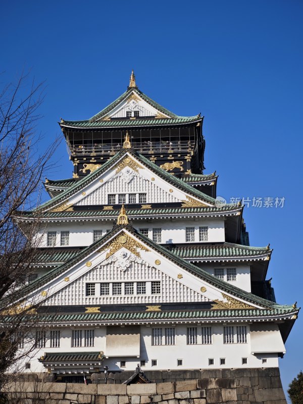 宏伟壮观的大阪城建筑全景