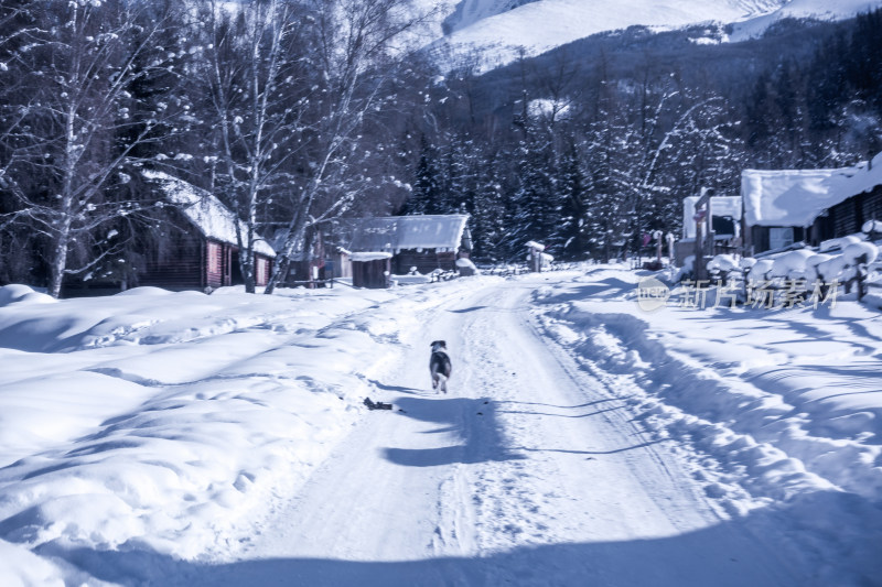 新疆阿勒泰白哈巴村冬季雪景