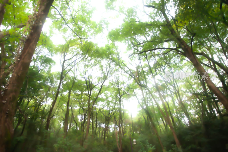 户外风景