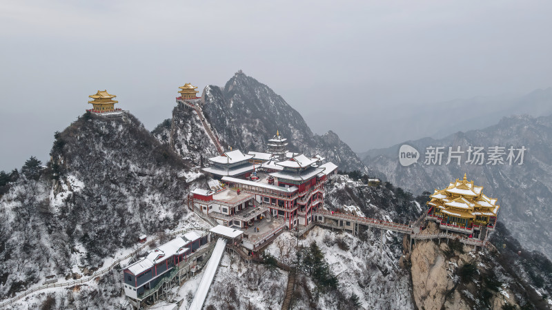 河南老君山飞雪中的千年古树冬季航拍