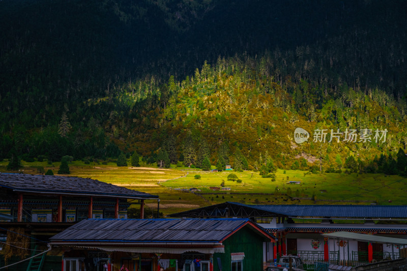 西藏林芝自然风光