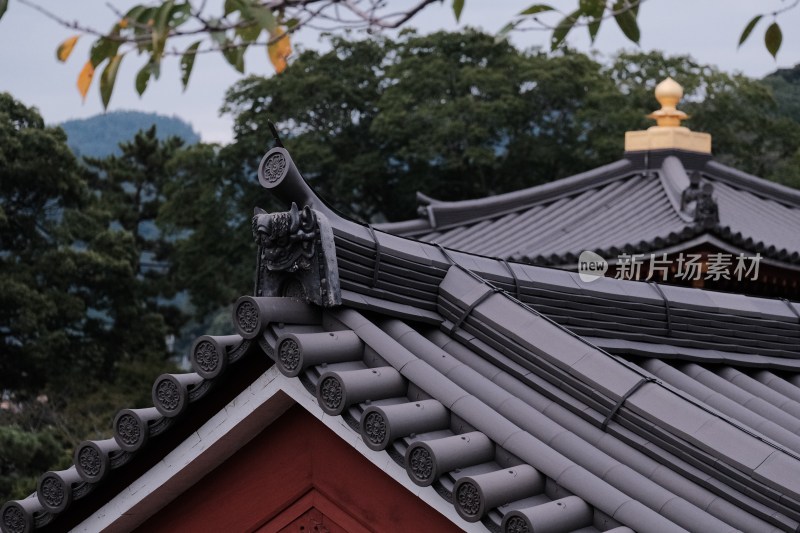 日本箱根富士山自然风光美景