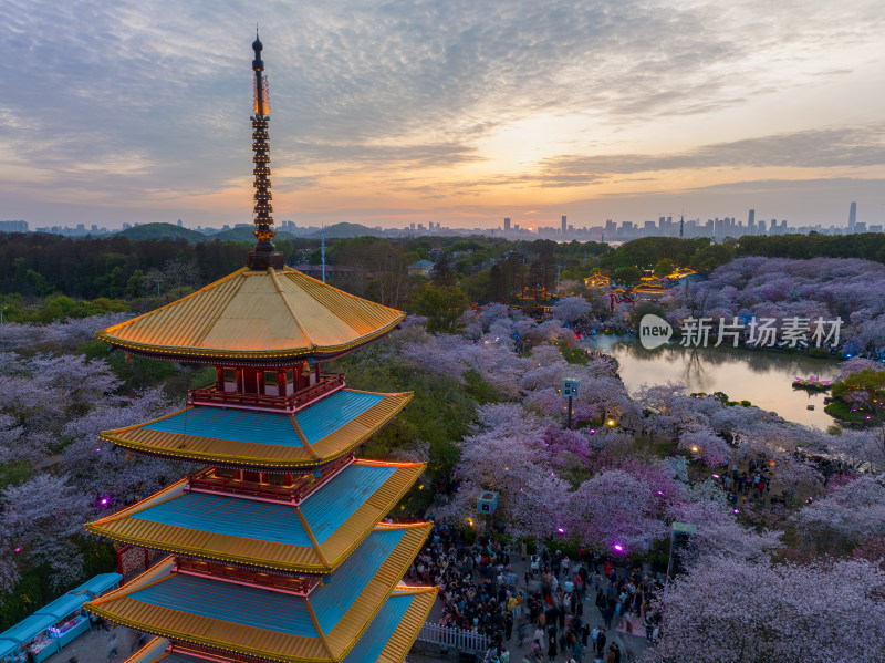 武汉东湖磨山樱花园夜景风光