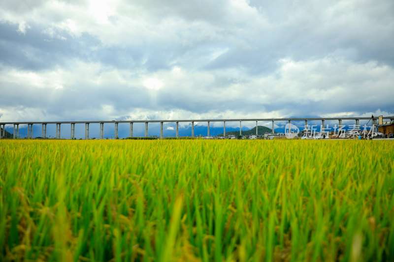 田野上的高架桥风景