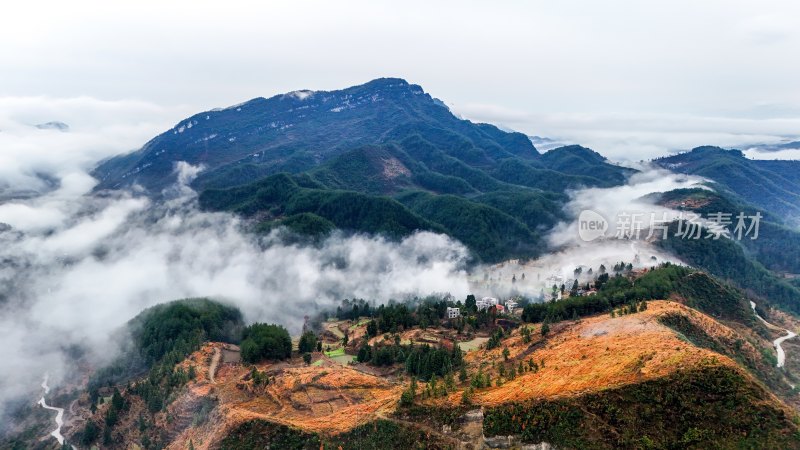 重庆酉阳：雾气中的山村田园