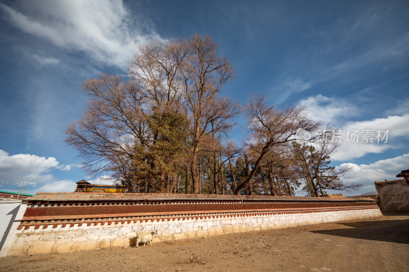 蓝天白云下的阿坝各莫寺寺院建筑