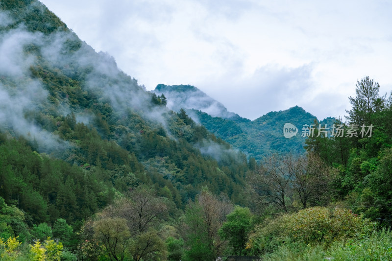 汉中留坝火烧店镇秦岭深处雨后山间的云雾