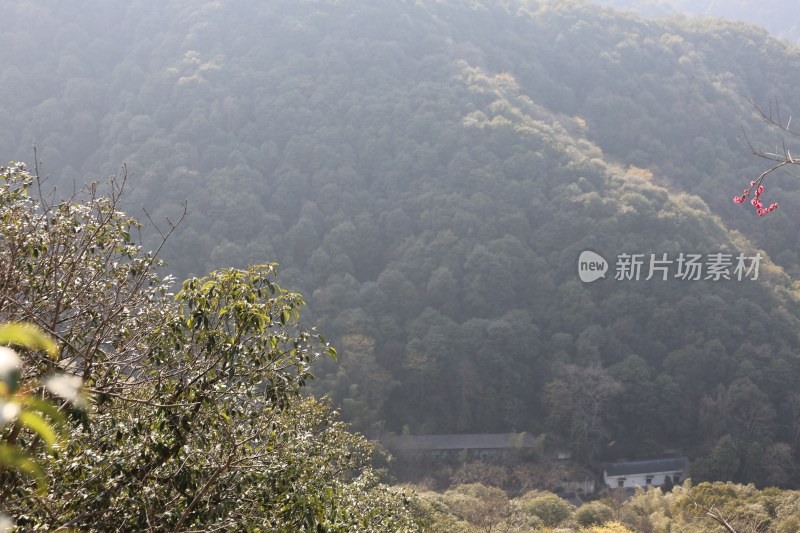 山林间的植被与房屋景观