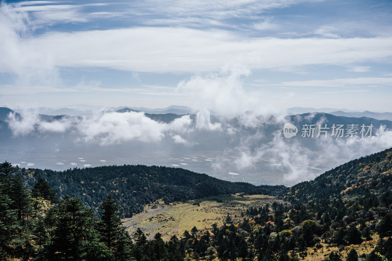 丽江玉龙雪山蚂蝗坝