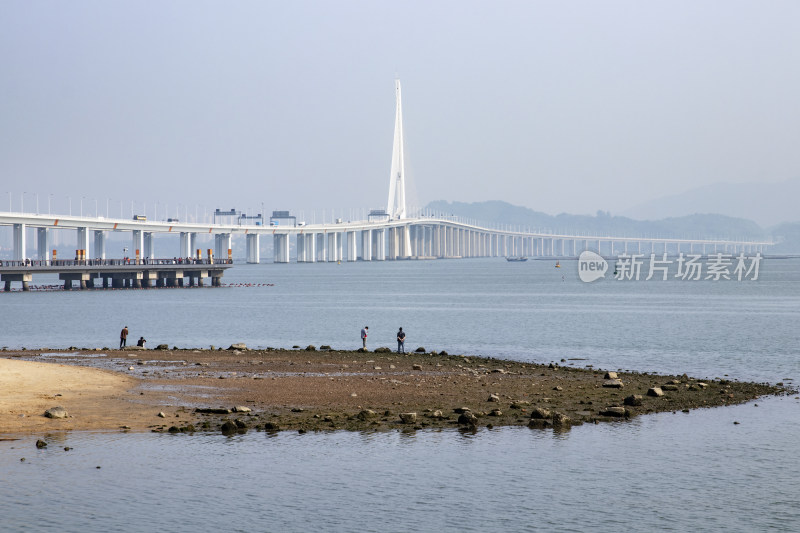 深圳湾公园景观