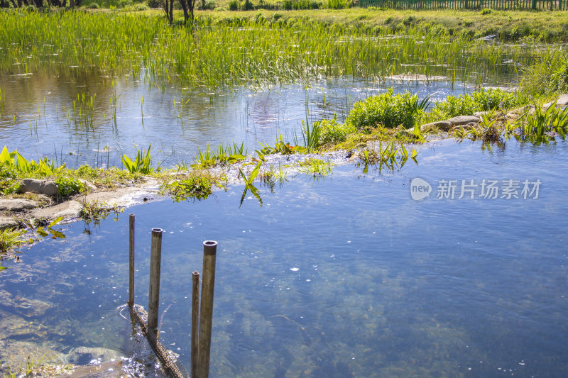 云南大理洱海风景晴天蓝色湖面