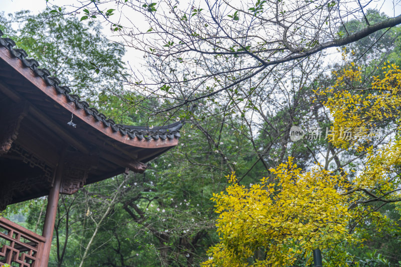 杭州宝石山连横纪念馆玛瑙寺旧址