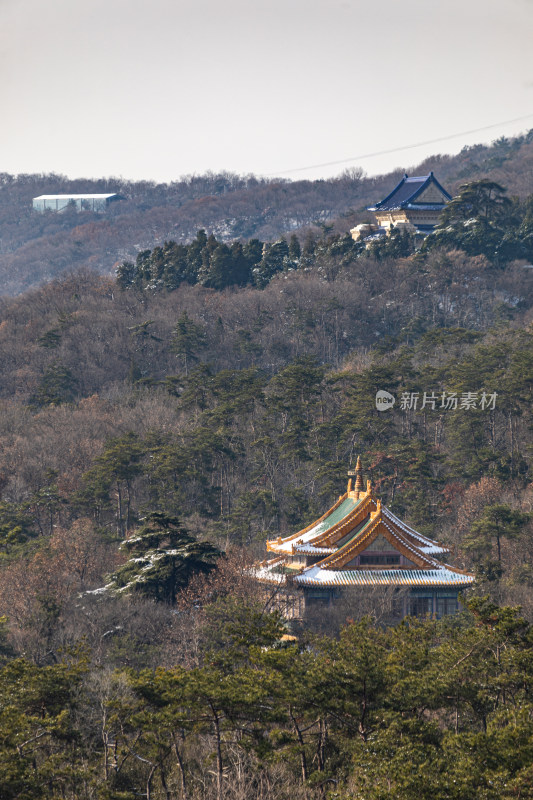 雪后的南京钟山风景区灵谷景区